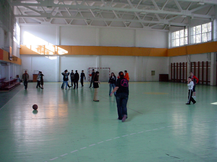 Sala Nichita St�nescu - interior